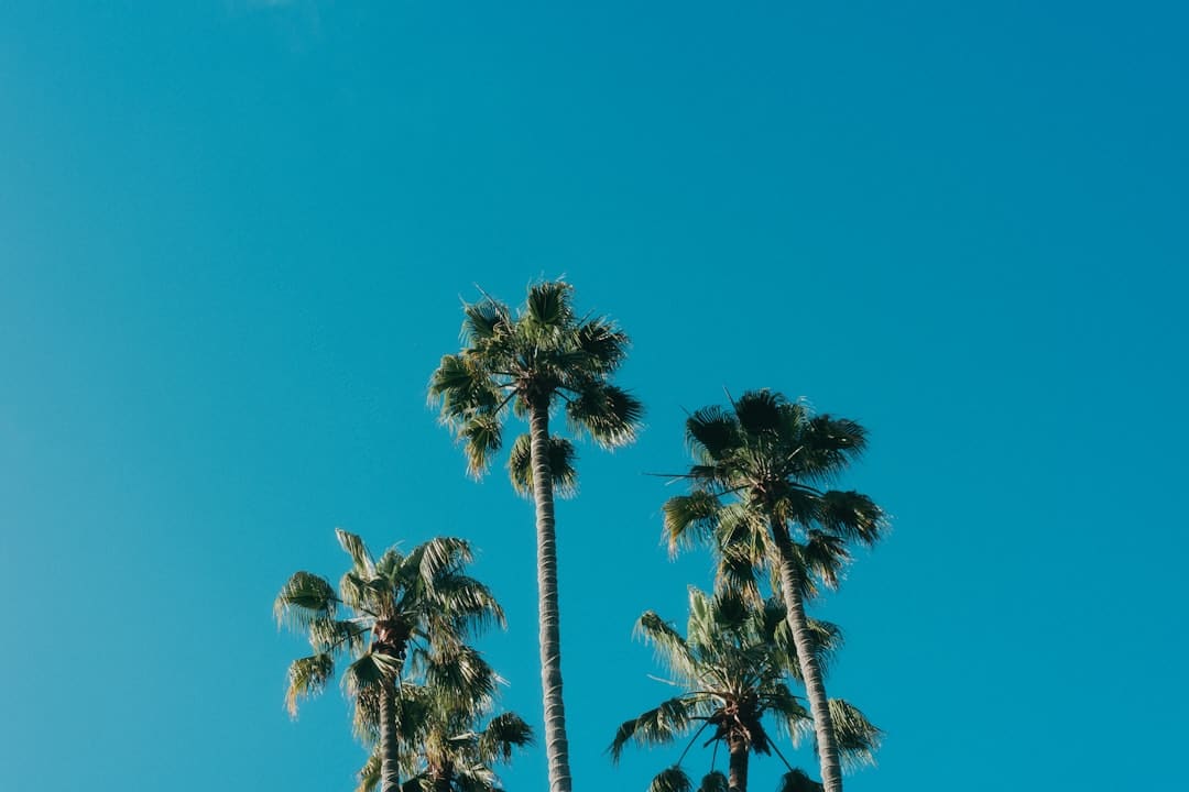 夏日全南莞岛值得一游的当地_